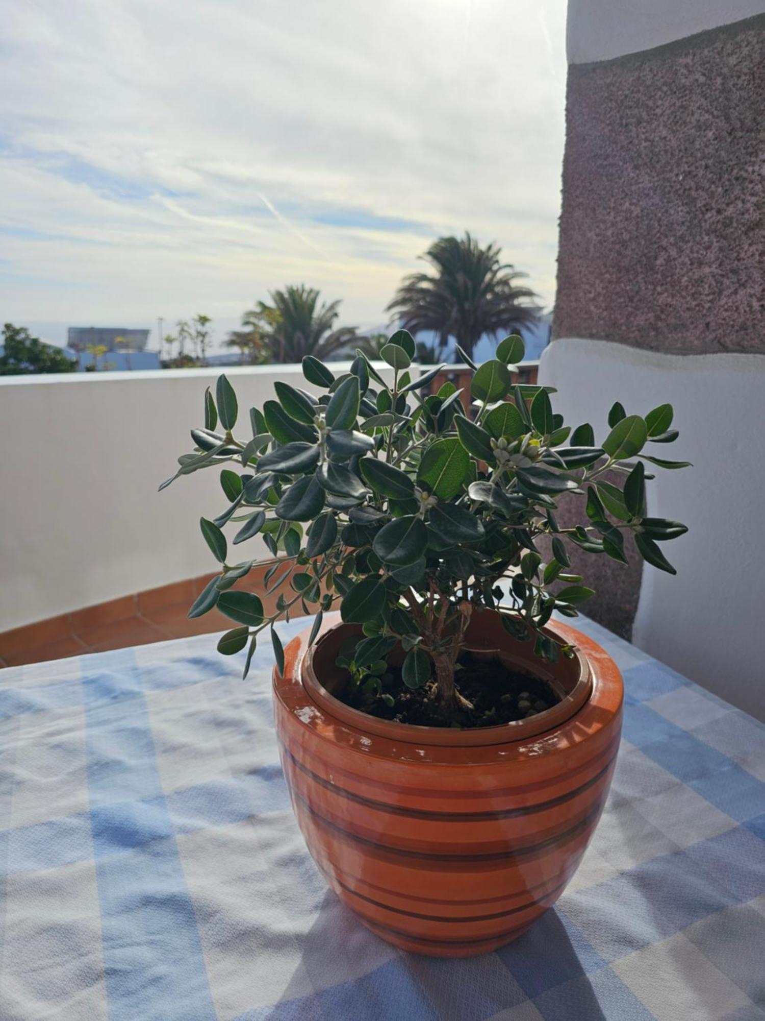 Casa Layka, Con Maravillosas Vistas Al Mar La Asomada  Εξωτερικό φωτογραφία